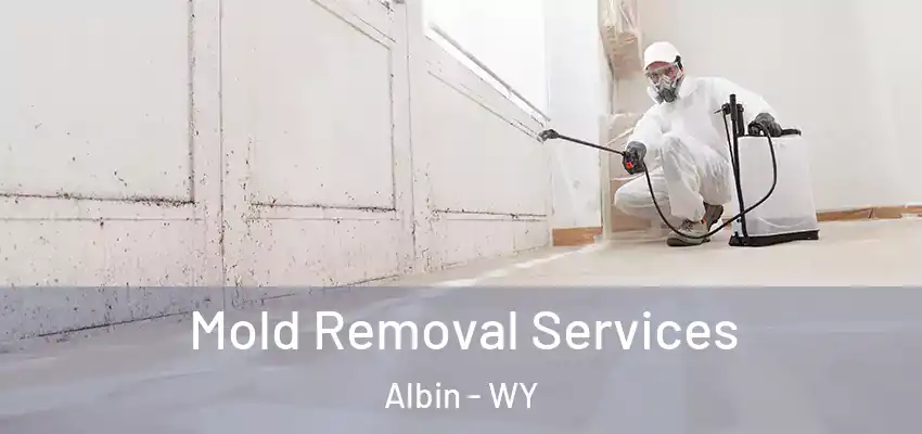  Mold Removal Services Albin - WY