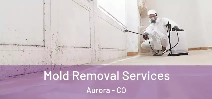  Mold Removal Services Aurora - CO