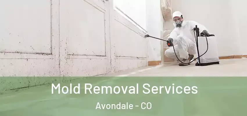  Mold Removal Services Avondale - CO