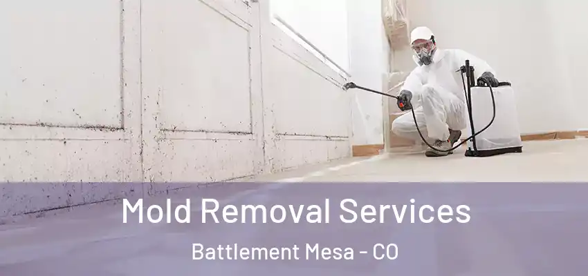  Mold Removal Services Battlement Mesa - CO