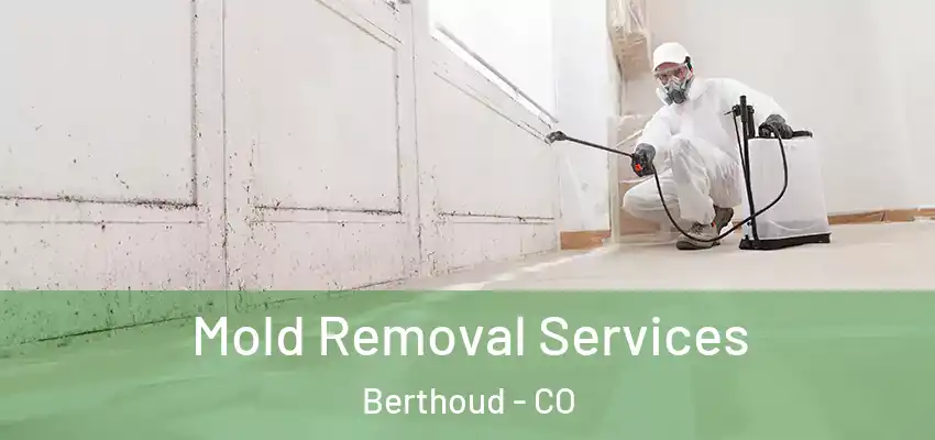  Mold Removal Services Berthoud - CO