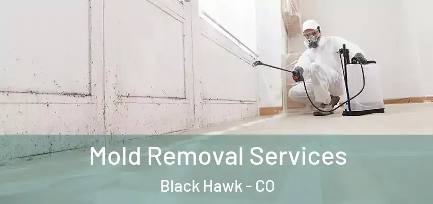  Mold Removal Services Black Hawk - CO