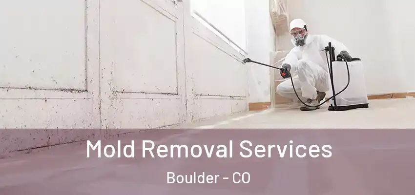  Mold Removal Services Boulder - CO