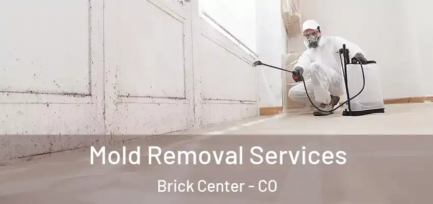  Mold Removal Services Brick Center - CO