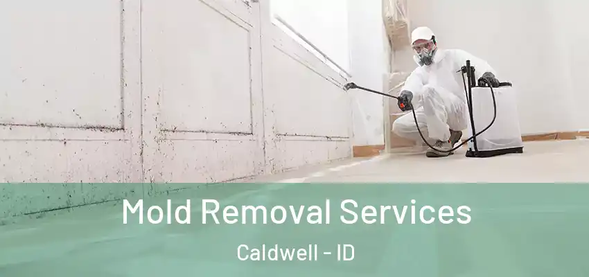  Mold Removal Services Caldwell - ID