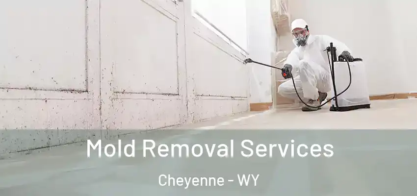  Mold Removal Services Cheyenne - WY