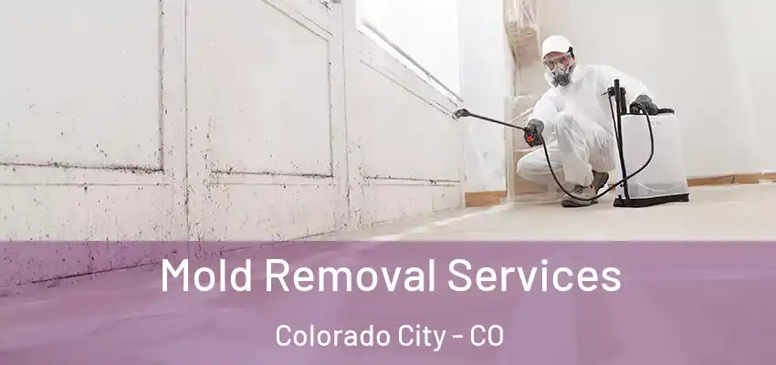  Mold Removal Services Colorado City - CO