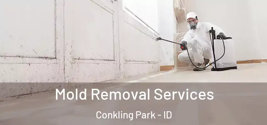  Mold Removal Services Conkling Park - ID