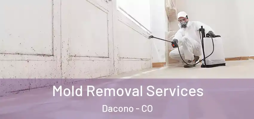 Mold Removal Services Dacono - CO