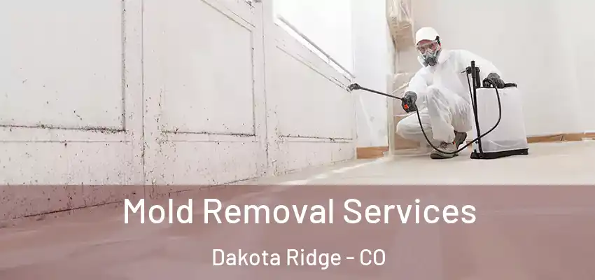 Mold Removal Services Dakota Ridge - CO
