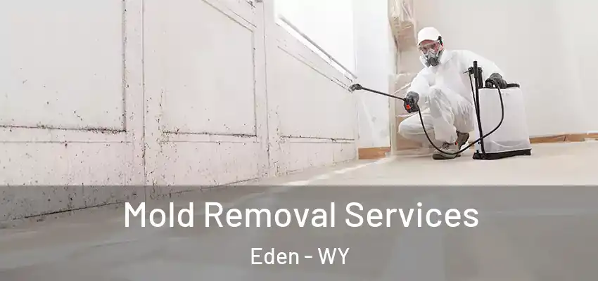  Mold Removal Services Eden - WY