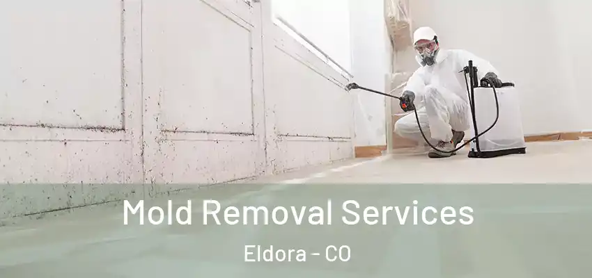 Mold Removal Services Eldora - CO