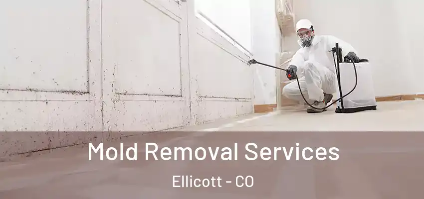 Mold Removal Services Ellicott - CO