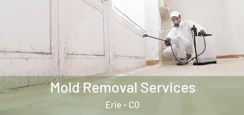 Mold Removal Services Erie - CO