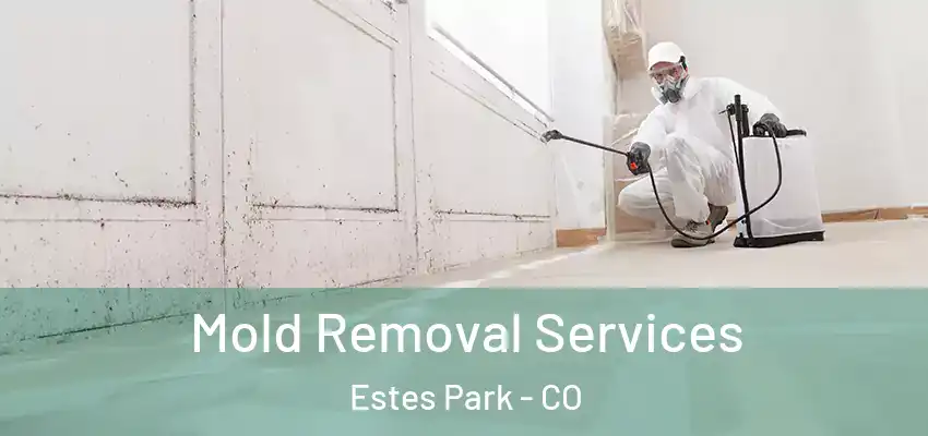  Mold Removal Services Estes Park - CO
