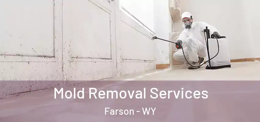  Mold Removal Services Farson - WY