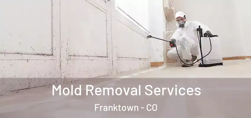  Mold Removal Services Franktown - CO