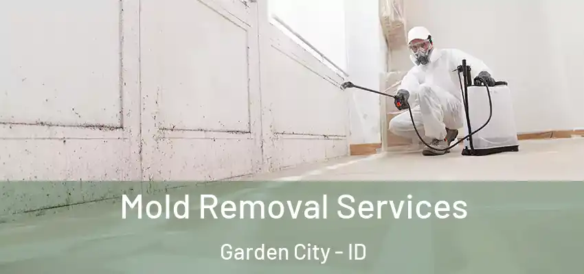  Mold Removal Services Garden City - ID