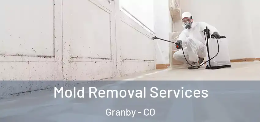  Mold Removal Services Granby - CO