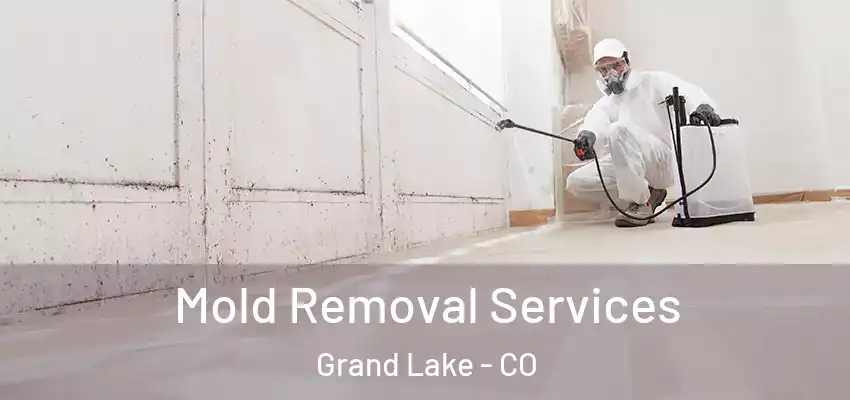  Mold Removal Services Grand Lake - CO
