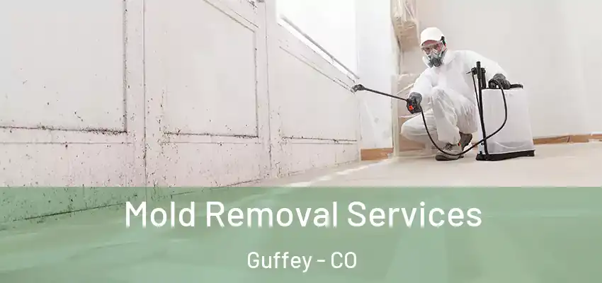 Mold Removal Services Guffey - CO