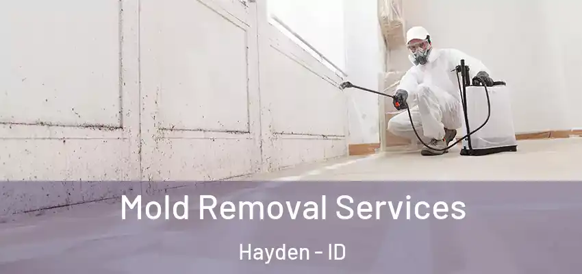  Mold Removal Services Hayden - ID