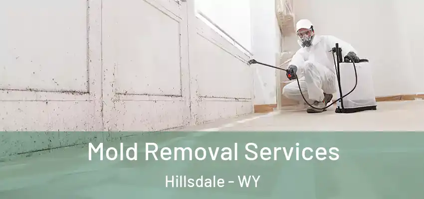  Mold Removal Services Hillsdale - WY