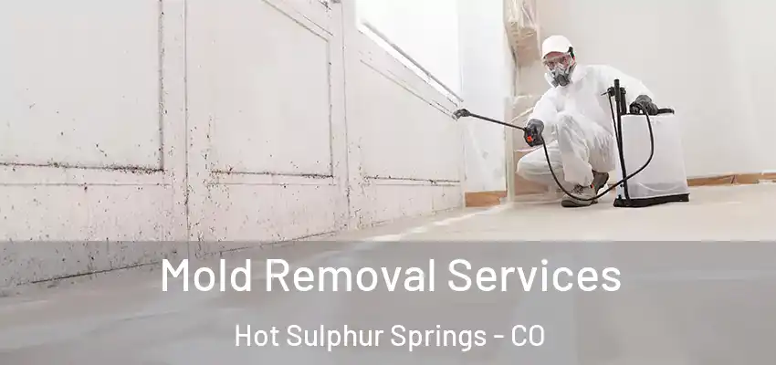  Mold Removal Services Hot Sulphur Springs - CO