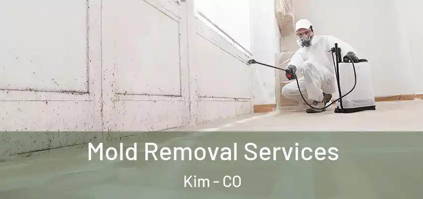 Mold Removal Services Kim - CO