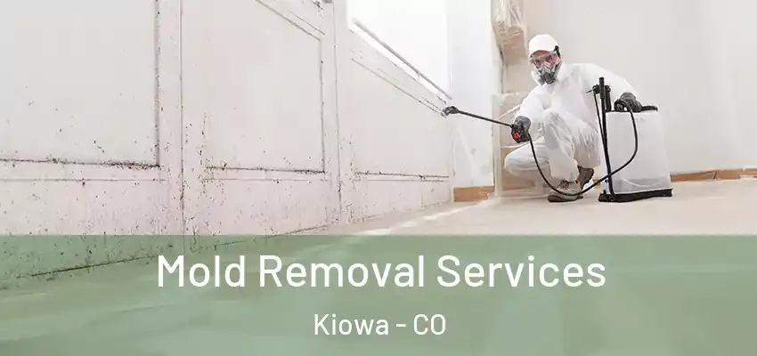  Mold Removal Services Kiowa - CO