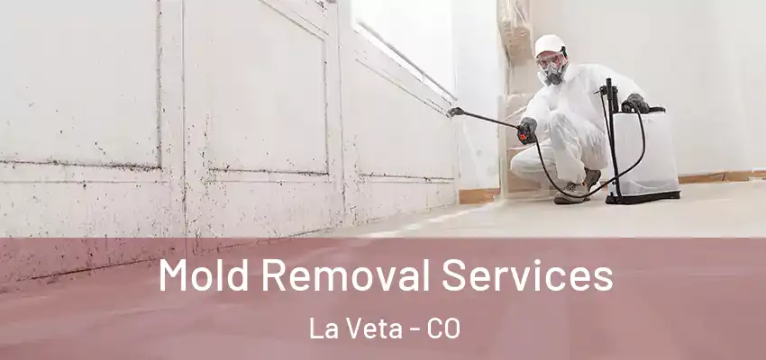  Mold Removal Services La Veta - CO
