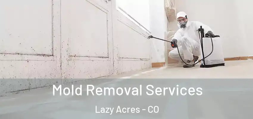 Mold Removal Services Lazy Acres - CO