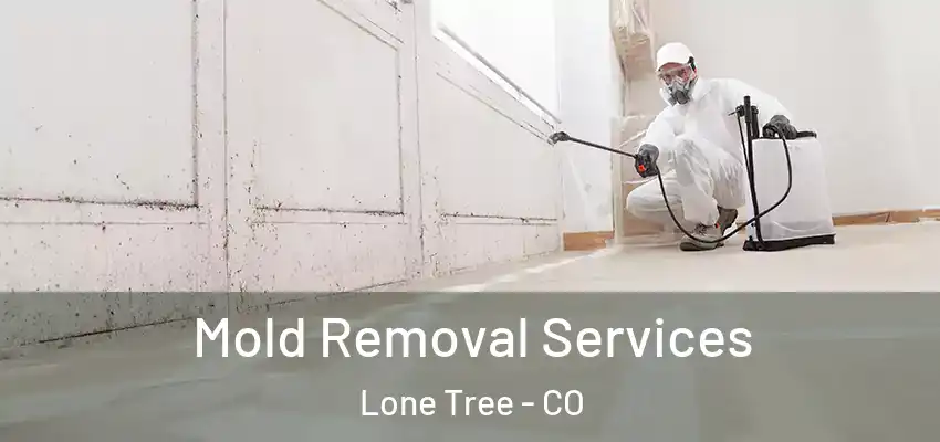 Mold Removal Services Lone Tree - CO