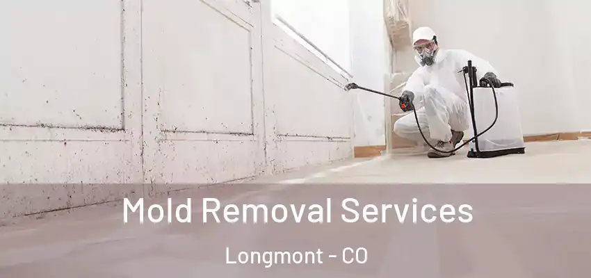  Mold Removal Services Longmont - CO