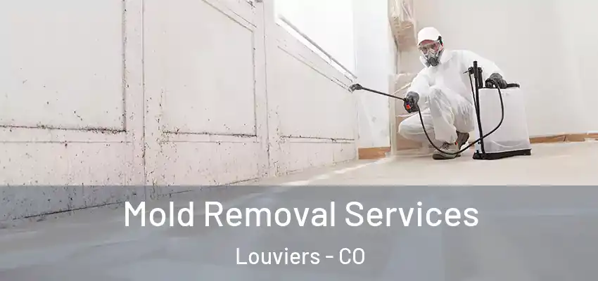 Mold Removal Services Louviers - CO