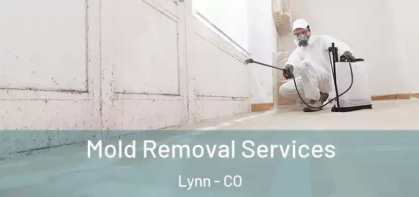 Mold Removal Services Lynn - CO