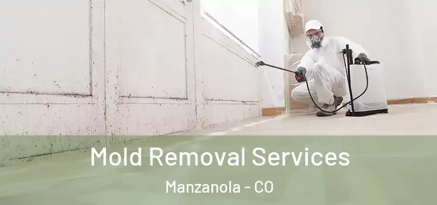 Mold Removal Services Manzanola - CO