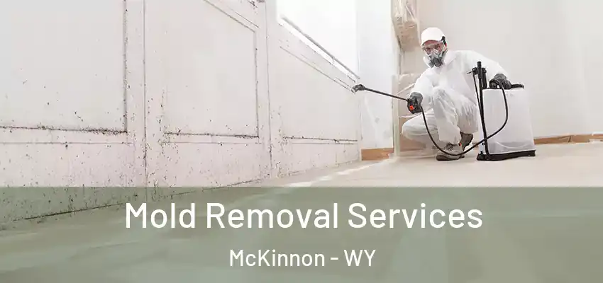  Mold Removal Services McKinnon - WY