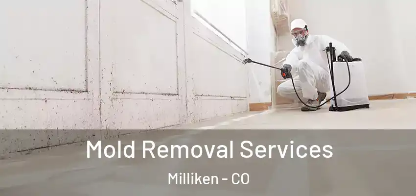 Mold Removal Services Milliken - CO