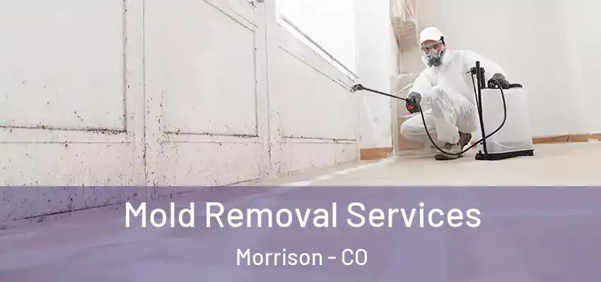 Mold Removal Services Morrison - CO