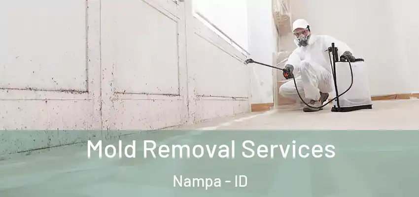  Mold Removal Services Nampa - ID