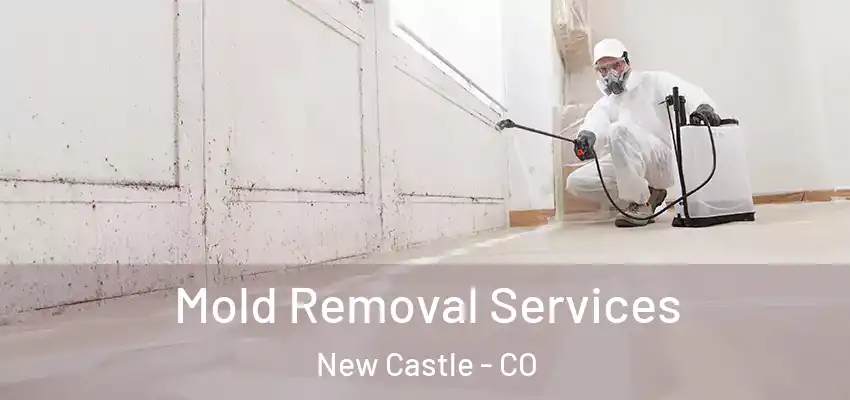  Mold Removal Services New Castle - CO