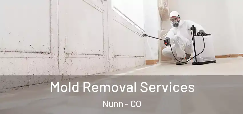 Mold Removal Services Nunn - CO
