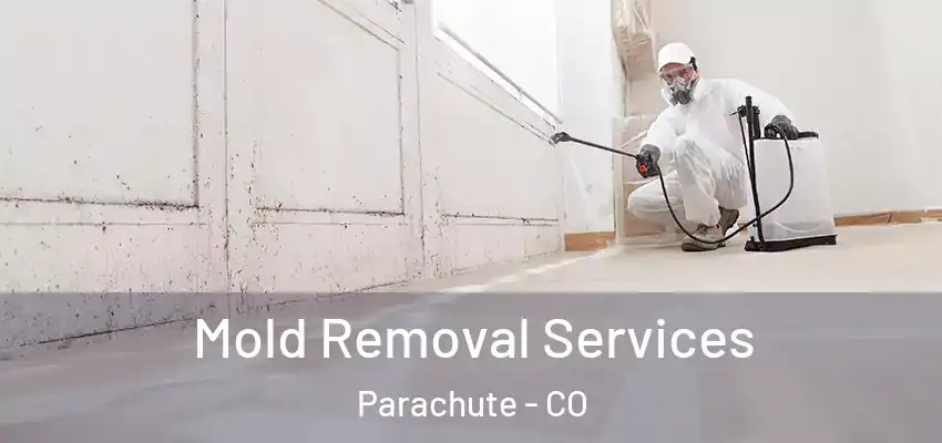  Mold Removal Services Parachute - CO