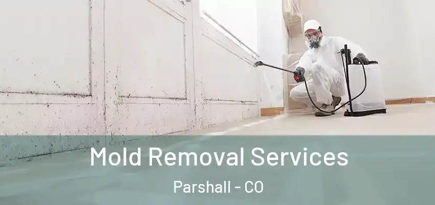 Mold Removal Services Parshall - CO