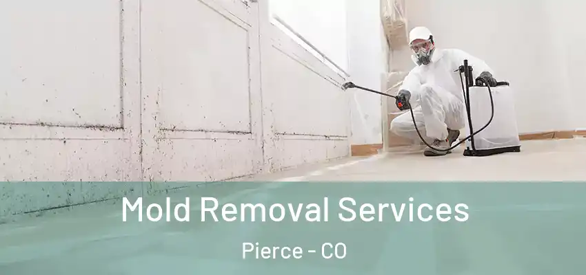 Mold Removal Services Pierce - CO
