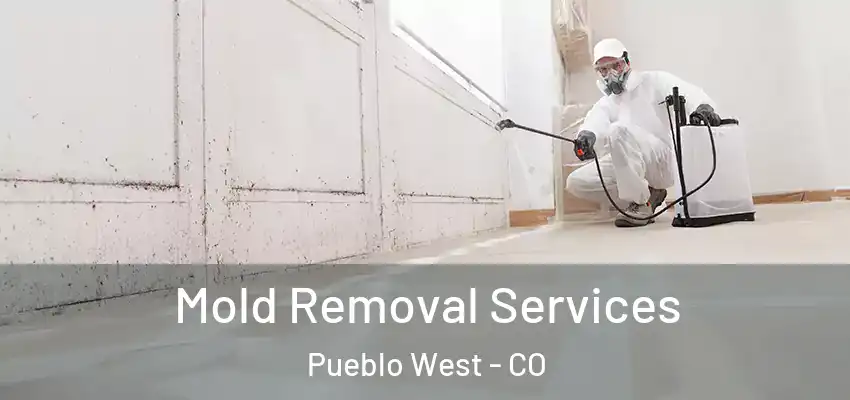 Mold Removal Services Pueblo West - CO
