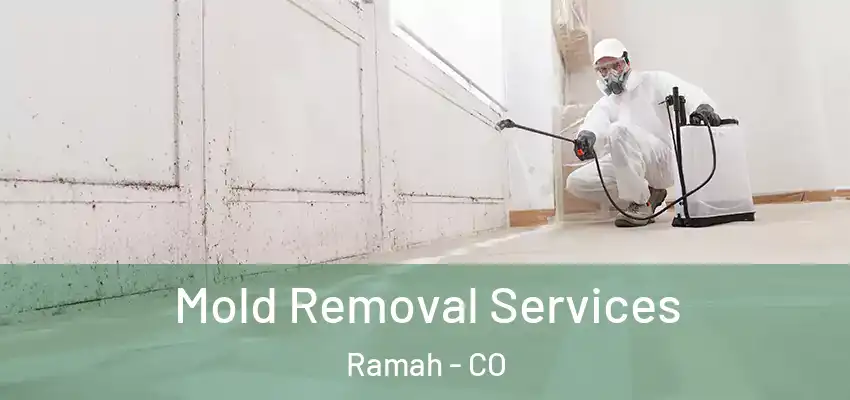 Mold Removal Services Ramah - CO