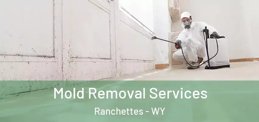  Mold Removal Services Ranchettes - WY