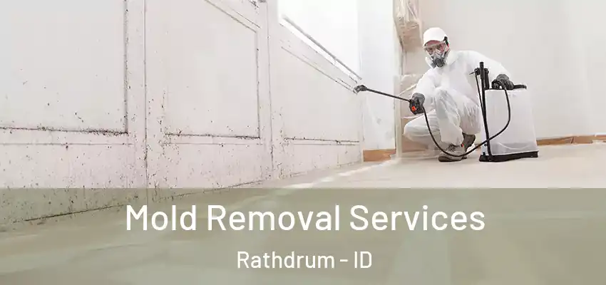  Mold Removal Services Rathdrum - ID